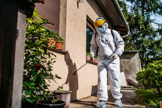 Best Local Pest Control Services  in Vineyard, UT