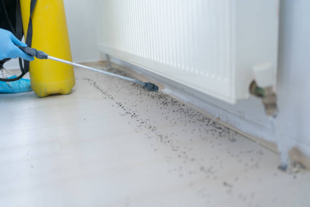Best Emergency Pest Control  in Vineyard, UT